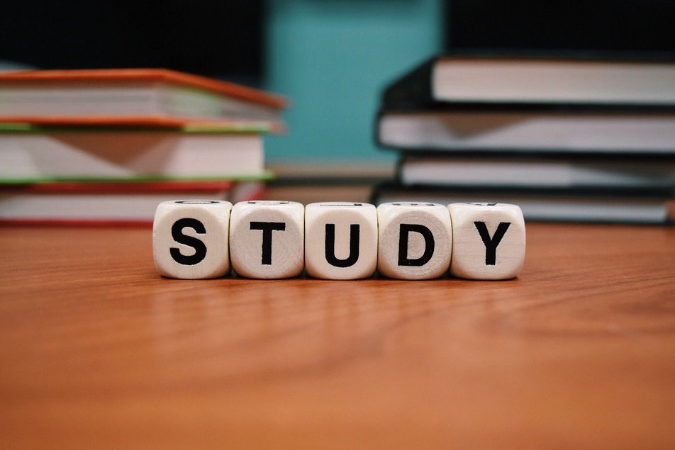 Fünf Buchstabenwürfel bilden das Wort STUDY