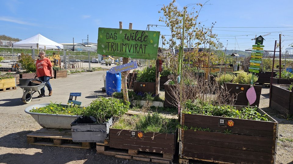 Urban Gardening with planter boxes in Stuttgart as an effort to increase urban green space