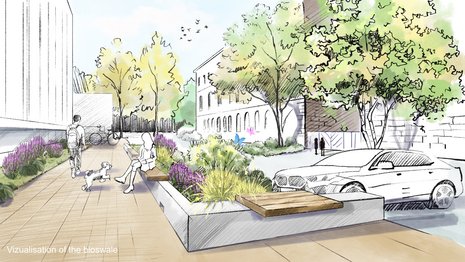 Visualization of the bioswale