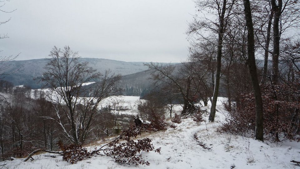Umgebungsfoto der Studienarbeit "Besenwirtschaft am Märzenbuckel"