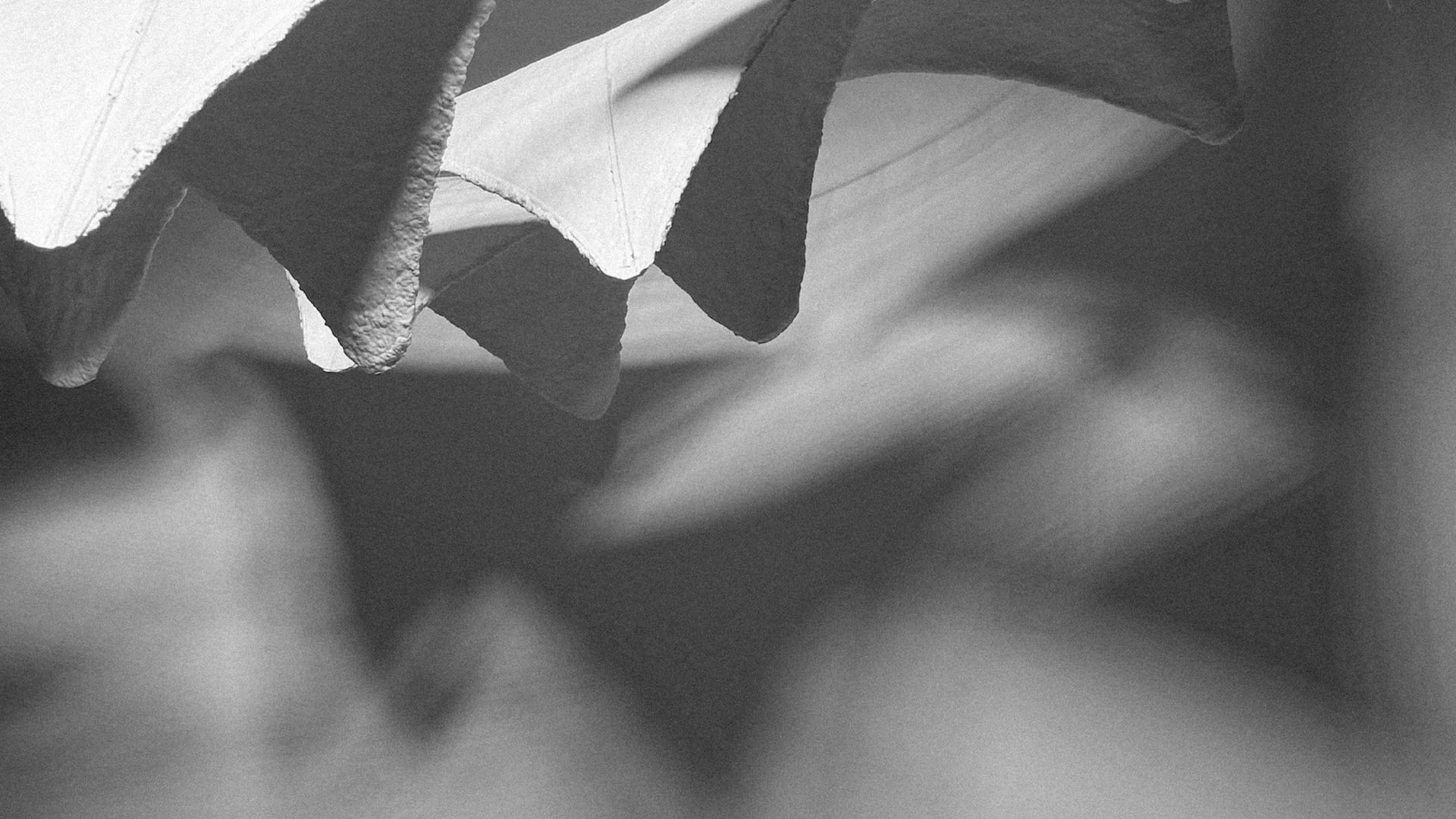 Fotografie zur Bewerbung der Ausstellung