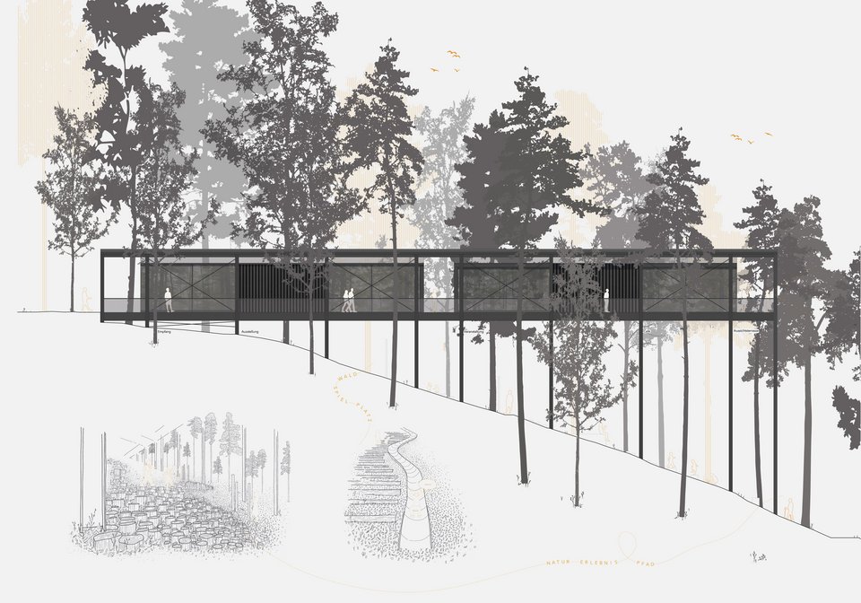 Ansicht der Studienarbeit Besucherzentrum, Waldsteg