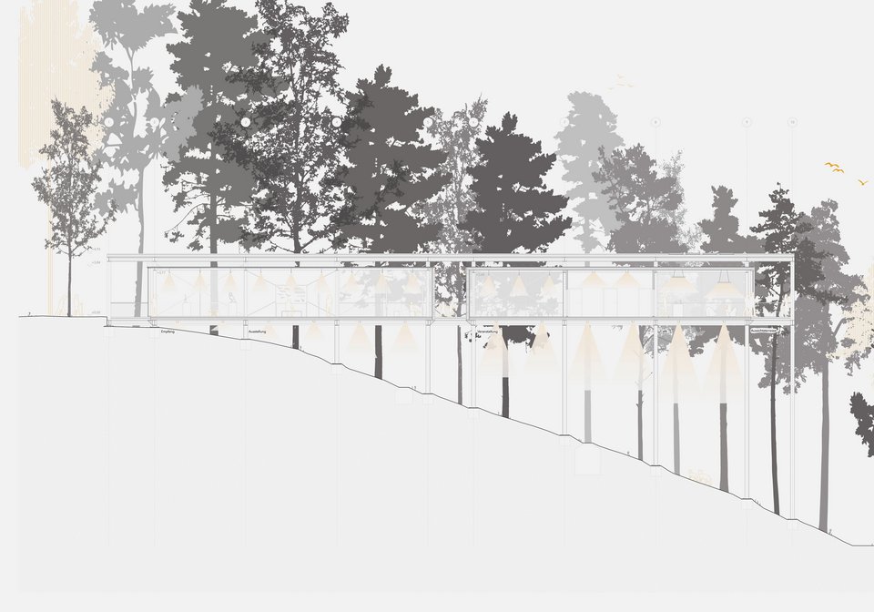 Schnitt der Studienarbeit Besucherzentrum, Waldsteg