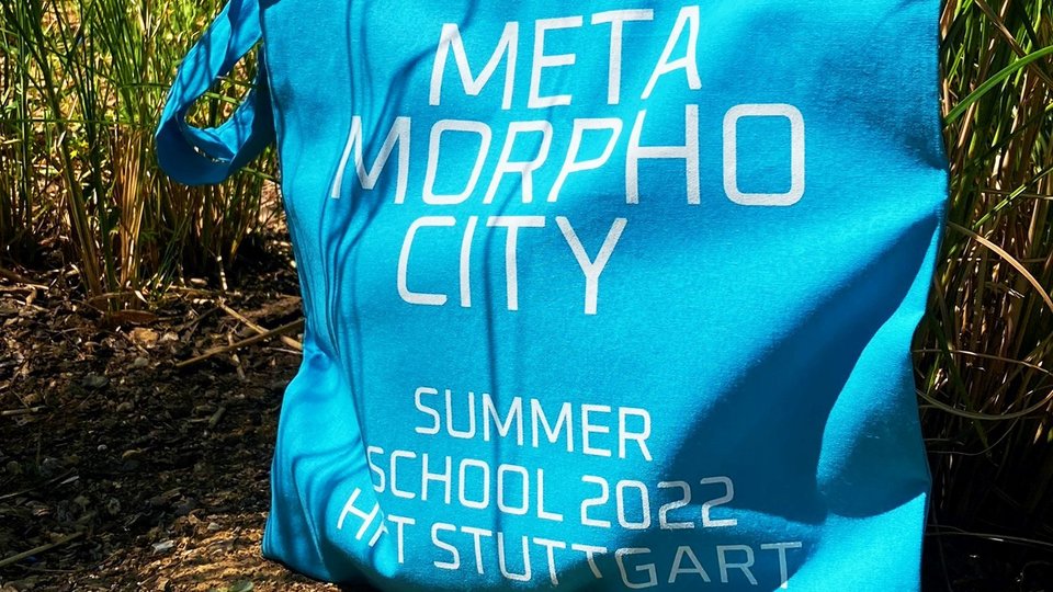 Foto der Summer School Baumwolltasche mit Wiese im Hintergrund.