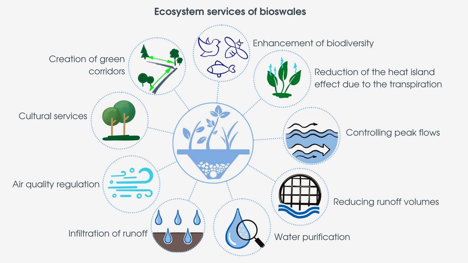 Visualization fo the ecosystem services of bioswales