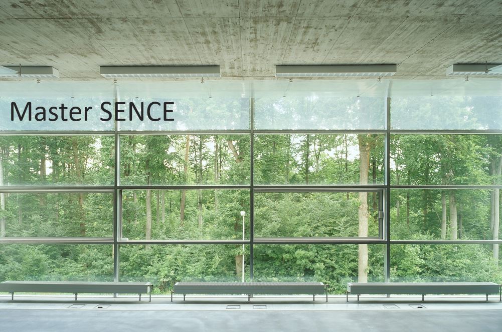 Blick aus einer Glasfront in einen Wald