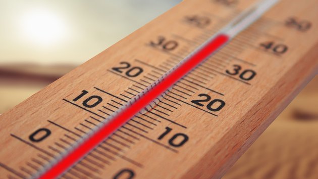 Vordergrund: Thermometer, der fast 40 Grad anzeigt. Hintergrund: sonnige Landschaft
