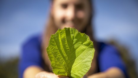 Frau hält ein Blatt in die Kamera
