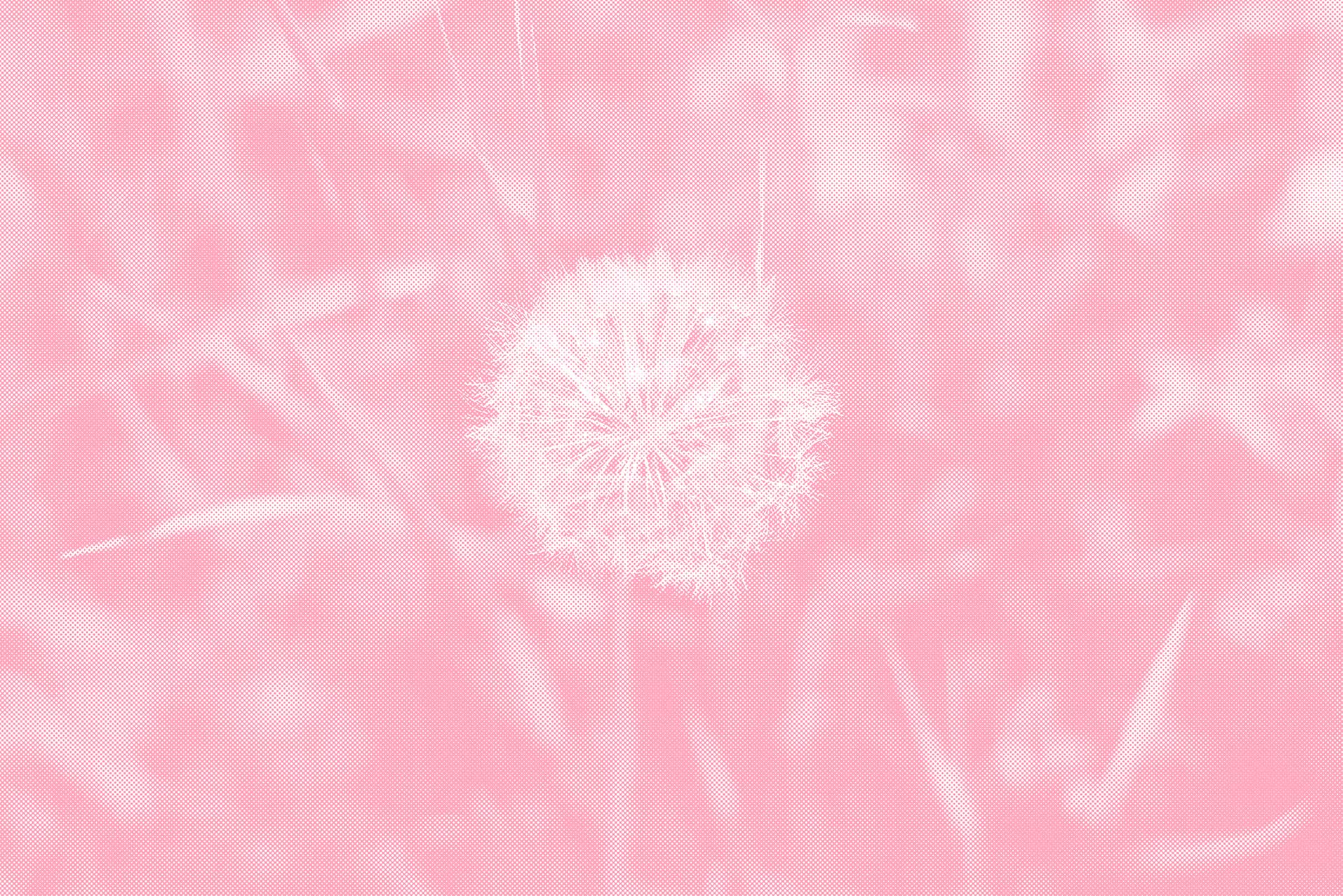 Illustration einer Löwenzahnblüte aus dem Stadtgarten vor der HFT Stuttgart