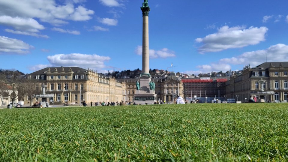 Eine Wiese, im Hintergrund der Schlossplatz in Stuttgart