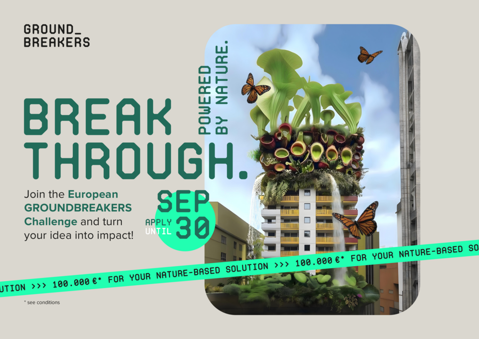 Banner zum Wettbewerb