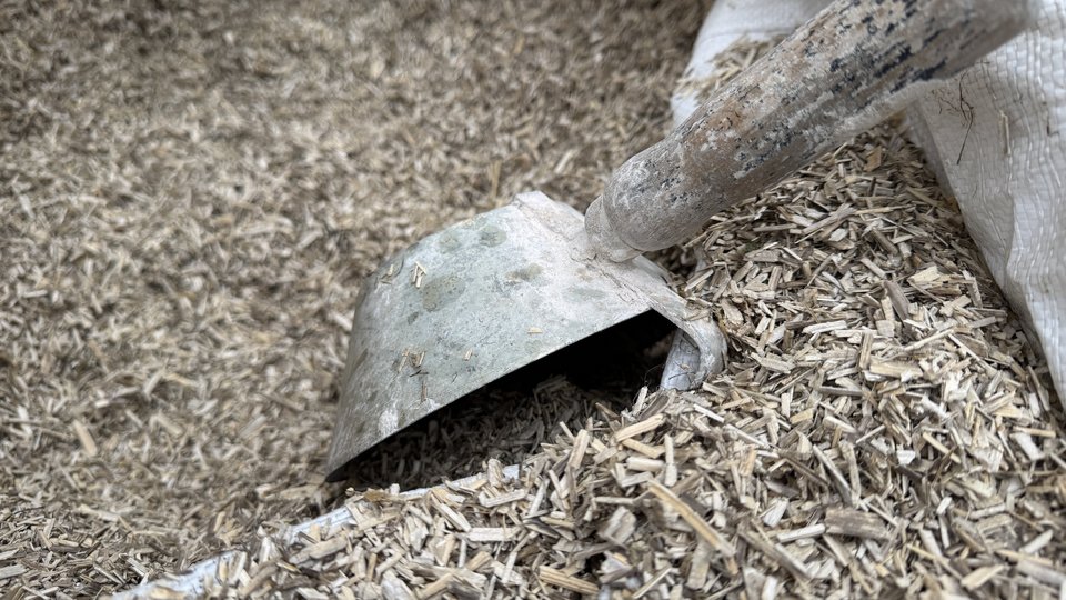 Hanf, der zum Bauen verwendet wird