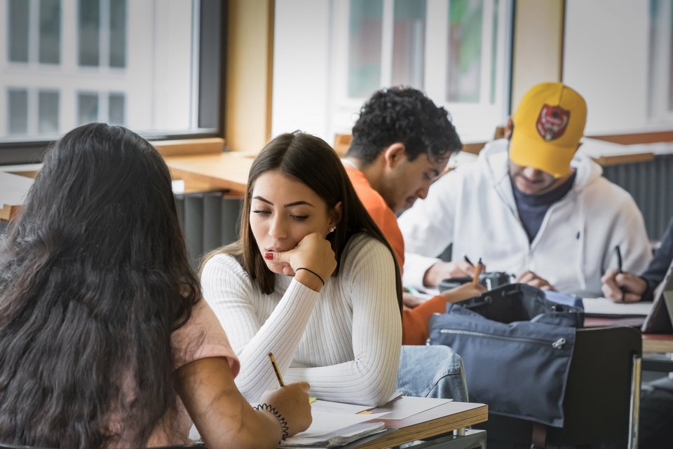 Studierende beim Lernen